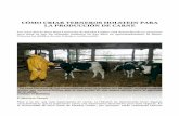 Cómo criar terneros Holstein para la producción de carne · controlado, que esté diseñado para bajar el estrés de los animales. Después de 10 semanas, los terneros tendrán