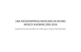 UNA MICROEMPRESA MEXICANA EN BEIJING MEXICO XIAOBING … · UNA MICROEMPRESA MEXICANA EN BEIJING MEXICO XIAOBING 2005-2016 Experiencias que pueden ser útiles para nuevos inversionistas