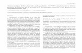 Tumor maligno de la vaina del nervio periférico (MPNST ...scielo.isciii.es/pdf/neuro/v21n1/5.pdf · La TC de cráneo evidencio masa sólida orbitaria, delimitada, lobulada, que se