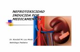 NEFROTOXICIDAD INDUCIDA POR MEDICAMENTOS ......Nefrolitiasis VII. Presentación Clínica de la Nefrotoxicidad Obstrucción Tubular Precipitación intratubular Nefropatía por ácido