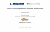CONSULTORÍA: Dinámica poblacional y demandas de agua para ...desastres.usac.edu.gt/documentos/docgt/pdf/spa/doc0275/doc0275 … · municipios de Unión Cantinil y Santa Catarina