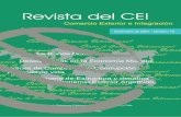 I E C I E C Ministerio de Relaciones Exteriores, Comercio ... del CEI 10.pdf · Seminario de Estructura y desafíos del Comercio Ex terior Argentino. Comercio Exterior e Integración