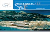 Boletin SEF-4 11-12-07 · 2016-01-19 · Boletin SEF-4 11-12-07 11/12/07 12:55 Pagina 1 SE-31-07-008 (Diciembre 2007) Líderes en tratamientos para reproducción asistida La innovación