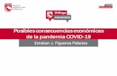 Posibles consecuencias económicas de la pandemia COVID-19cicm.org.mx/wp-content/files_mf/dialogoconingenieros_4may20.pdf · Posibles consecuencias económicas de la pandemia COVID-19