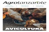Fitoterapia Rafael Morales - Agrolanzarote€¦ · granja avícola de sus padres y en la que trabajan sus hermanos. “Es una empresa familiar con más de tres décadas de funcionamiento”