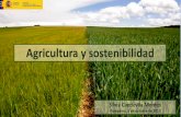 Agricultura y sostenibilidad - CaixaBank · Agricultura y sostenibilidad Silvia Capdevila Montes Pamplona, 5 de octubre de 2017 . sostenibilidad. 1. f. Cualidad de sostenible. ...