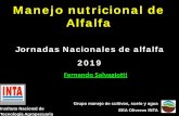 Manejo nutricional de Alfalfajornadasdealfalfa.com.ar/alfalfa/wp-content/uploads/2019/... · 2019-11-19 · 1. Determinación de la fertilidad del suelo para caracterizar sus deficiencias