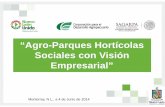 “Agro-Parques Hortícolas Sil ViióSociales con Visión ... · con Visión Empresarial ÉXITO DEL MODELO • Uso de tecnología para la producción hortícola en localidades marginadas,