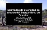 Estimados de diversidad de árboles del Bosque Seco de Guánicacohemis.uprm.edu/prysig/pdfs/pres_dchinea10.pdf · Bosque Seco de Guánica • Cubre un área de 4,000 hectáreas en