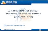 La nutrición en las plantas Haciendo un poco de historia · La nutrición en las plantas: Haciendo un poco de historia (Segunda Parte) Mtra. Andrea Etchartea. Recordemos lo trabajado
