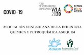 ASOCIACIÓN VENEZOLANA DE LA INDUSTRIA QUÍMICA Y …asoquim.com/v2018/wp-content/uploads/2020/08/Foro... · 2020-08-01 · laboral (lopcymat-solv.laboral) sueldos y salarios marco