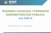 REGIMEN LICENCIAS Y PERMISOS ADMINISTRACION PUBLICA. …ipap.chaco.gov.ar/uploads/publicacion/6193c28a0fce... · • Las Demás licencias y permisos: Directores de Unidad Administrativa.