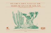 Flora del valle de Tehuacán-Cuicatlan · FLORA DEL VALLE DE TEHUACAN- CUICATLAN 1-9. 2018 CERATOPHYLLACEAE 1 Gray Paulina Izazola-Rodríguez Bibliografía. APG III. 2009. An update