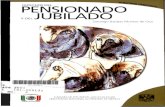 PENSIONADO YDEJUBILADObiblioteca.diputados.gob.mx/janium/bv/lviii/1derpen_jub.pdf · DEL PENSIONADO Y DEL JUBILADO 1. Introducción ..... 3 11. Objetivos del régimen de pensiones