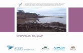Degradación de tierras en la Cuenca del Plata...2017/04/24  · 12 Degradación de tierras en la Cuenca del Plata ca del Plata, en relación con los efectos de la variabilidad y el