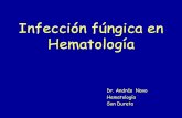 Infección fúngica en Hematología - elComprimidoelcomprimido.com/FARHSD/ComisionInfeccionesHUSD/Documentos… · Forma de entrada: vias respiratorias, más raro piel o mucosa gastrointestinal.