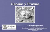 Gnosias y Praxias...Las gnosias son procesos centrales por los cuales lo percibido por una determinada modalidad sensorial o por la integración de varias de ellas, adquiere un sentido