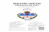 BOLETÍN OFICIALboletinoficial.jujuy.gob.ar/.../2016/Boletines/2020/33.pdf · 2020-04-24 · Los Boletines se publican solo los días lunes, miércoles y viernes. Para toda publicación
