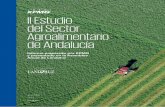 II Estudio del Sector Agroalimentario de Andalucía · II Estudio del Sector Agroalimentario de Andalucía 7 Es siempre un placer poder expresar la visión de una organización referente