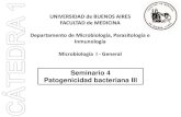 Seminario 4 Patogenicidad bacteriana III · 2020-07-26 · Seminario 4 Patogenicidad bacteriana III UNIVERSIDAD de BUENOS AIRES FACULTAD de MEDICINA Departamento de Microbiología,