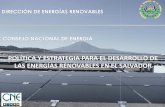 DIRECCIÓN DE ENERGÍAS RENOVABLES CONSEJO NACIONAL … · 2016-06-15 · con base en fuentes de energías renovables. Sin compromiso de garantizar potencia firme y contratos no estandarizados