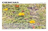 CIENCIAS - La Prensa Austral€¦ · En definitiva las funciones ecológicas son importantes para apoyar a las comunidades de plantas y animales, así como para asegurar la supervivencia