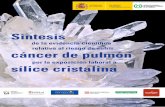 ...Tïtulo: Síntesis de la evidencia científica relativa al riesgo de sufrir cáncer de pulmón por la exposición laboral a sílice cristalina Grupo de trabajo de sílice de RICIS