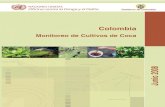 COLOMBIA Junio de 2008static.iris.net.co/semana/upload/documents/Doc-1621_2008618.pdf · Mapa 21: Ecotopos cafeteros y cultivos de coca en Colombia, 2007 66 Mapa 22: Grupos armados
