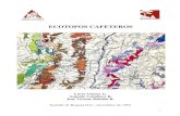 Ecotopos Cafeteros de Colombia - CENICAFE: Homebiblioteca.cenicafe.org/bitstream/10778/818/1/lib13731.pdfFinalmente se identificaron 86 ecotopos cafeteros en mapa a escala 1:100.000