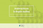 Aceleración en la Región Andina Summary_SP.pdfel Desarrollo (ANDE por sus siglas en inglés) lanzaron la Iniciativa Global de Aprendizaje en Aceleración (GALI por sus siglas en