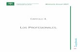 LOS P ROFESIONALES - Agencia Sanitaria Poniente Los Profesionales.pdf · 3. Órganos de representación3. Órganos de representación 71771171 . Title Los Profesionales Memoria 2007