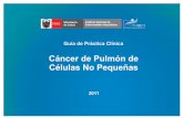  · Índice de Recomendaciones Tabla de Contenidos de CPCNP Estadiaje, Discusión, Referencias Cáncer de Pulmón de Células No Pequeñas 4 Guías de Práctica Clínica: PRESENTACIÓ