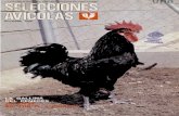 Desde principio - UAB Barcelona...Empresa líder en el mercado del pollito Extensa red comercial CONCENTRE AQUI sus OFERTAS y DEMANDAS Ardévol, 11. Tel. (973) 312862 - 312866 Y 3110