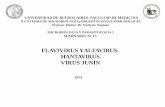 FLAVIVIRUS Y ALFAVIRUS. HANTAVIRUS. VIRUS JUNÍN 17.pdf · El espectro de anfitriones de estos virus incluye vertebrados, como el ser humano, monos, caballos, aves, ... El síndrome