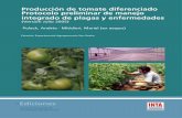 Producción de tomate diferenciado ... - Aula Virtual · medida de lo posible, de principios activos y familias de plaguicidas. El cuidado de los genes de resistencia del hospedante