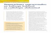 J.R. AyusoVentana a otras especialidades Tumoraciones ...aeeh.es/wp-content/uploads/2012/05/v4n5a292pdf001.pdf · obesidad, trastornos que pueden mejorar o revertir tras la exéresis