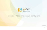 gvSIG. Algo más que softwaredownloads.gvsig.org/download/documents/reports/... · Colectivo como grupo organizado para la consecución de unos objetivos comunes. Si proyectamos esta