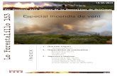 Foc forestal dels Bombers de la Generalitat de Catalunya ...forestal (VF). També cal destacar la incidència del serveis de vegetació agrícola (VA) lligades a la zona de cereal