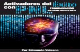 activadores del exito - Neuro Coaching con PNL con PROGRAMACIأ“N NEUROLINGأ¼ISTICA Por Edmundo Velasco.