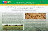 Fertilización nitrogenada de avena en dos zonas ...biblioteca.inia.cl/medios/biblioteca/informativos/NR39315.pdf · sembradas en la temporada 2012/2013 (Odepa, 2013). Este cultivo