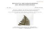 ISSN 2413-337X REVISTA NICARAGUENSE DE BIODIVERSIDAD · REVISTA NICARAGUENSE DE BIODIVERSIDAD. No.34. 2018. _____ (2) La Revista Nicaragüense de Biodiversidad (ISSN 2413-337X) es