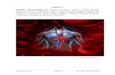 UNIDAD IX SISTEMA CIRCULATORIO. Plan general. Circulación … · 2019-08-06 · 2.2.2 Sistema Circulatorio Doble En los animales que tienen este tipo de Sistema Circulatorio la sangre