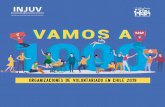 VAMOS A 1000...Vamos a 1000 Organizaciones de voluntariado en Chile Informe final, diciembre 2019 Instituto Nacional de la Juventud (INJUV) Red de Voluntarios de Chile Contenidos Centro