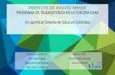 PROYECTO DE ADULTO MAYOR PROGRAMA DE TELEASISTENCIA … Carlos Cano.pdf · teleasistencia centrado en la persona, que mediante la gestión de casos, contribuya a mantener la autonomía