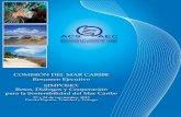 Home | ACS-AEC - COMISIÓN DEL MAR CARIBE …La Asociación de Estados del Caribe (AEC), como anfitrión del Primer Simposio de la Comisión del Mar Caribe, realizado en la ciudad