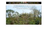 BORRADOR PLAN DE MANEJO “PARQUE NATURAL PROVINCIAL … · la creación del Parque Natural Provincial "Fuerte Esperanza", de acuerdo con la Ley Provincial 4.358/96 que hace referencia