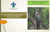 Acciones sustentables desde contextos comunitarios: … · 2019-07-09 · Acciones sustentables desde contextos comunitarios: preservando el patrimonio biocultural Universidad Veracruzana