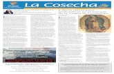 ETC-December 2018 La Cosecha · mensaje de la Virgen de Guadalupe: 1. La Verdad de Guadalupe El P. Chávez asegura que en este libro se puede encontrar tanto “lo más básico”