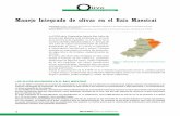 Manejo Integrado de olivar en el Baix Maestrat · Manejo Integrado de olivar en el Baix Maestrat José Fuster (Director Técnico de la Agrupación de Tratamientos Integrados en Agricultura
