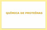 QUÍMICA DE PROTEÍNAS - UNAMdepa.fquim.unam.mx/amyd/archivero/17-Proteinas1_27347.pdf · Clasificación de las proteínas. 1) Morfología Proteínas fibrosas: Insolubles en agua,